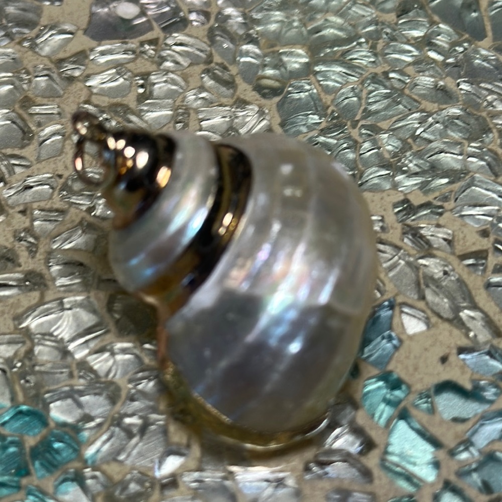 Gold small shell 1” necklace charm